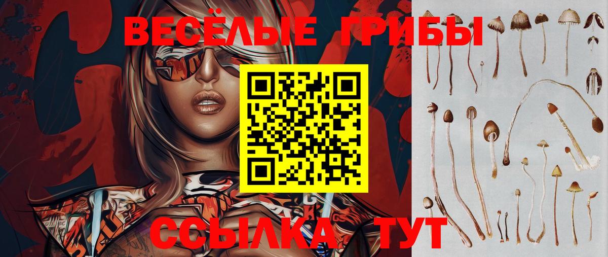 Галлюциногенные грибы GOLDEN TEACHER  Вход с VPN  Краснознаменск 