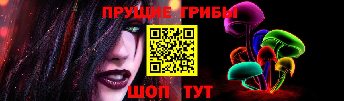 Псилоцибиновые грибы Cubensis Краснознаменск
