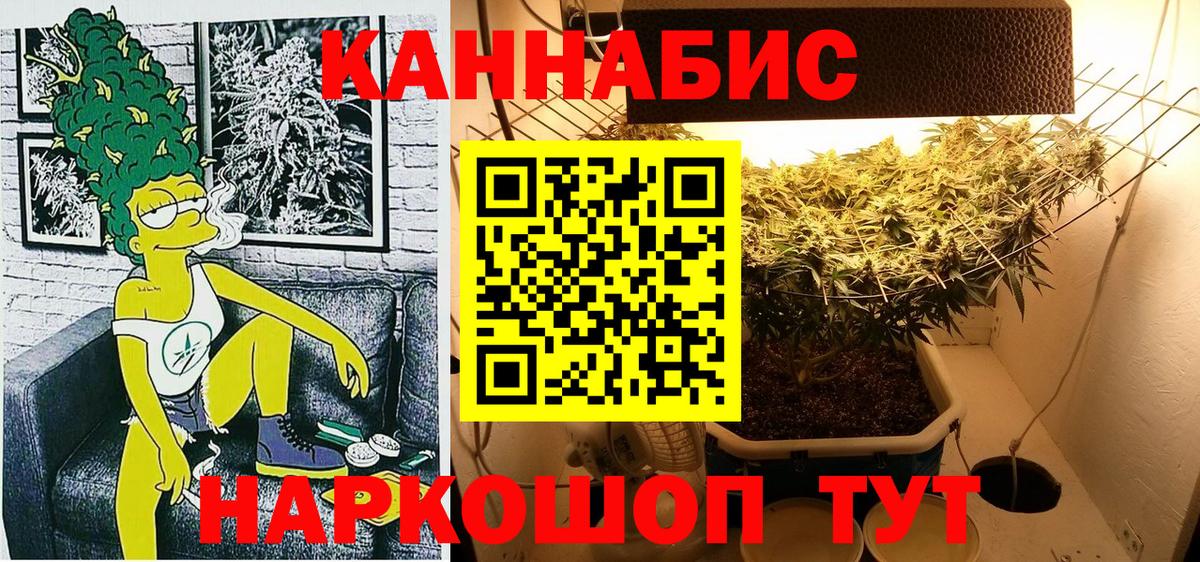 Краснознаменск  Конопля тримм  Вход с VPN  Бошки Шишки AK-47 